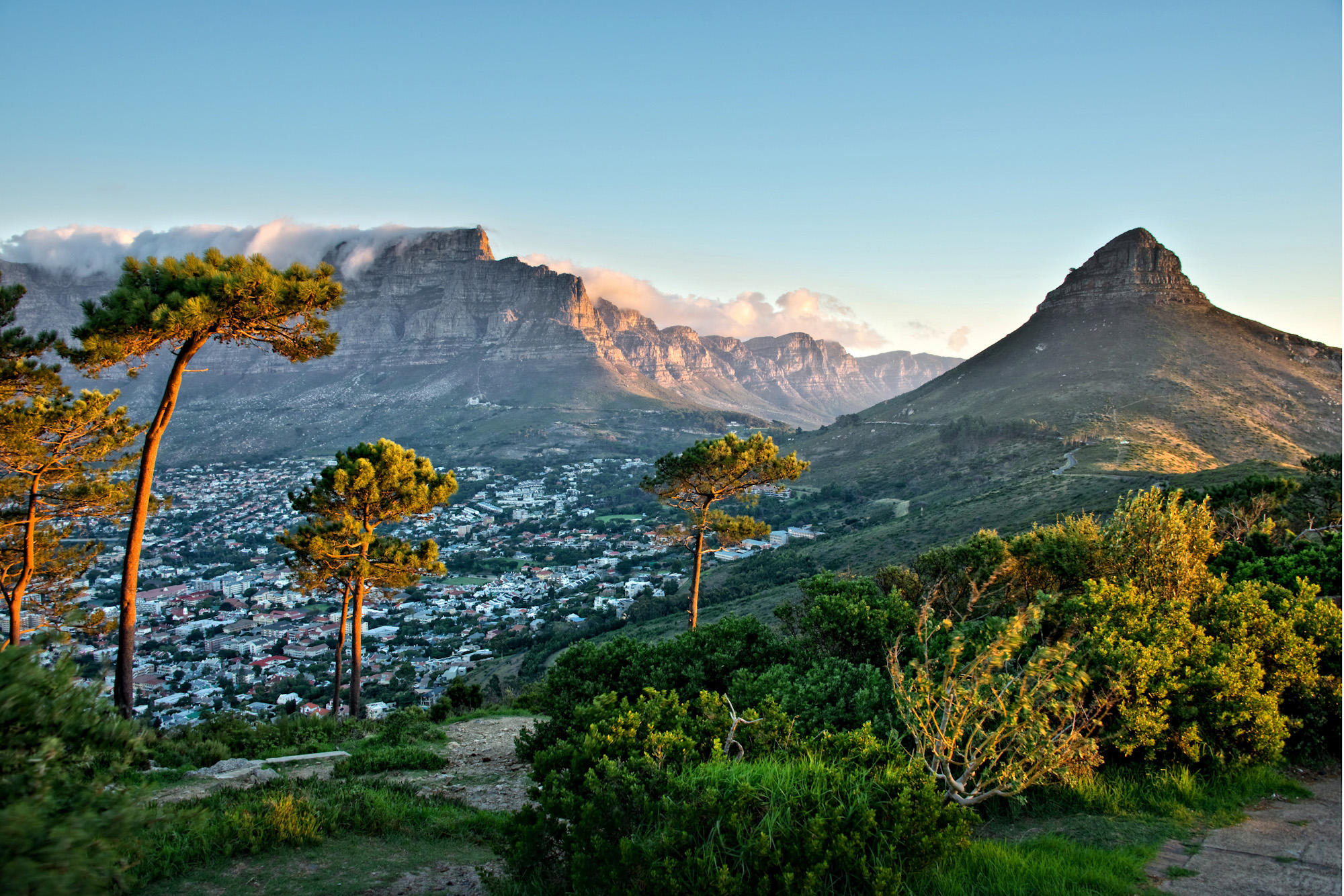 Lion's Head Hiking Cape Town Western Cape South Africa