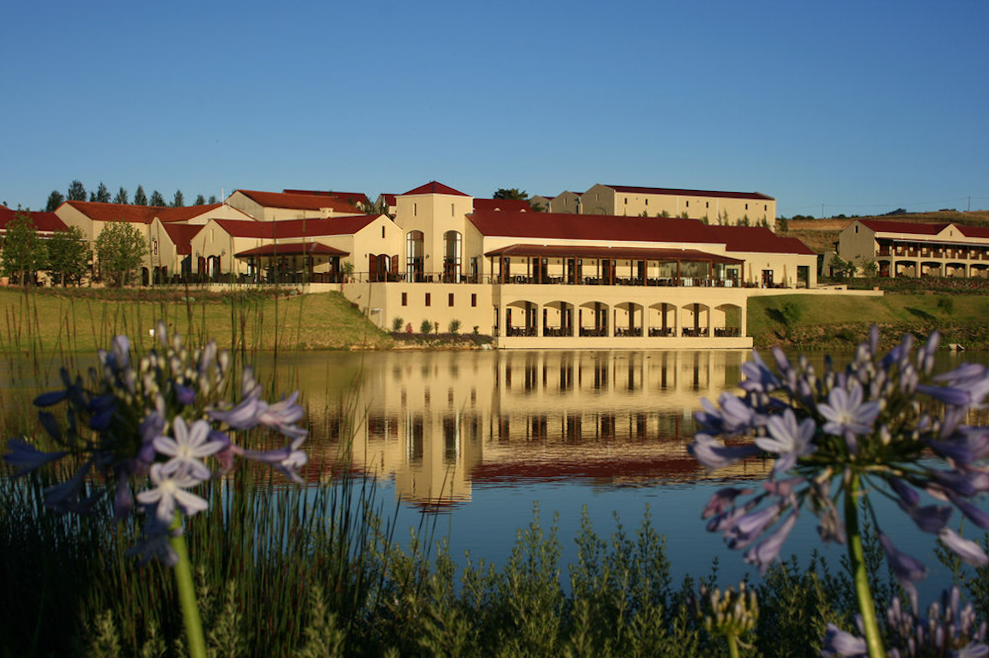 Asara Wine Estate Stellenbosch Cape Winelands Western Cape South Africa hotel review