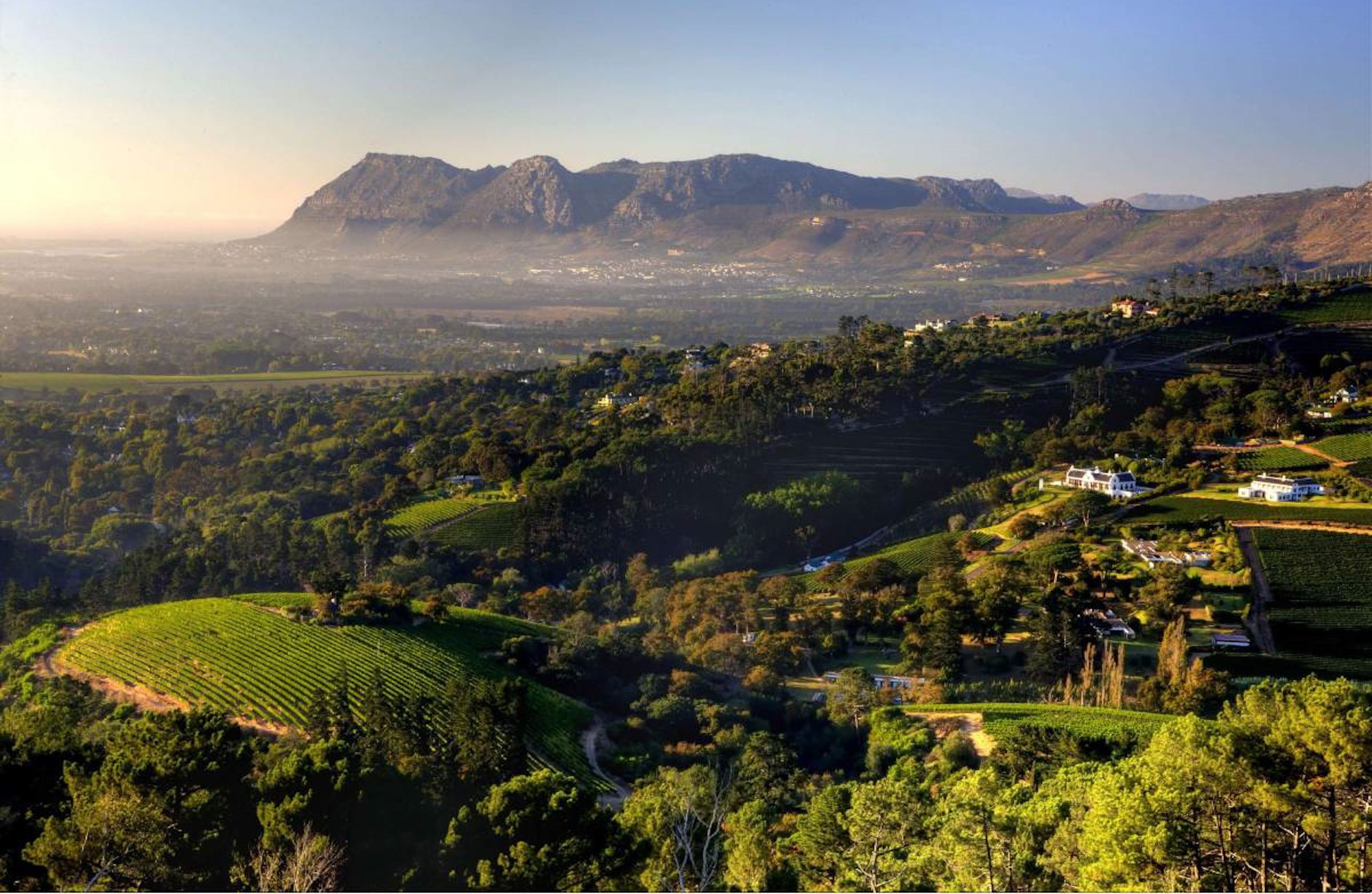 Constantia Wine Valley Cape Town Western Cape South Africa