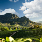 Delaire Graff Stellenbosch Western Cape South Africa wine farm review