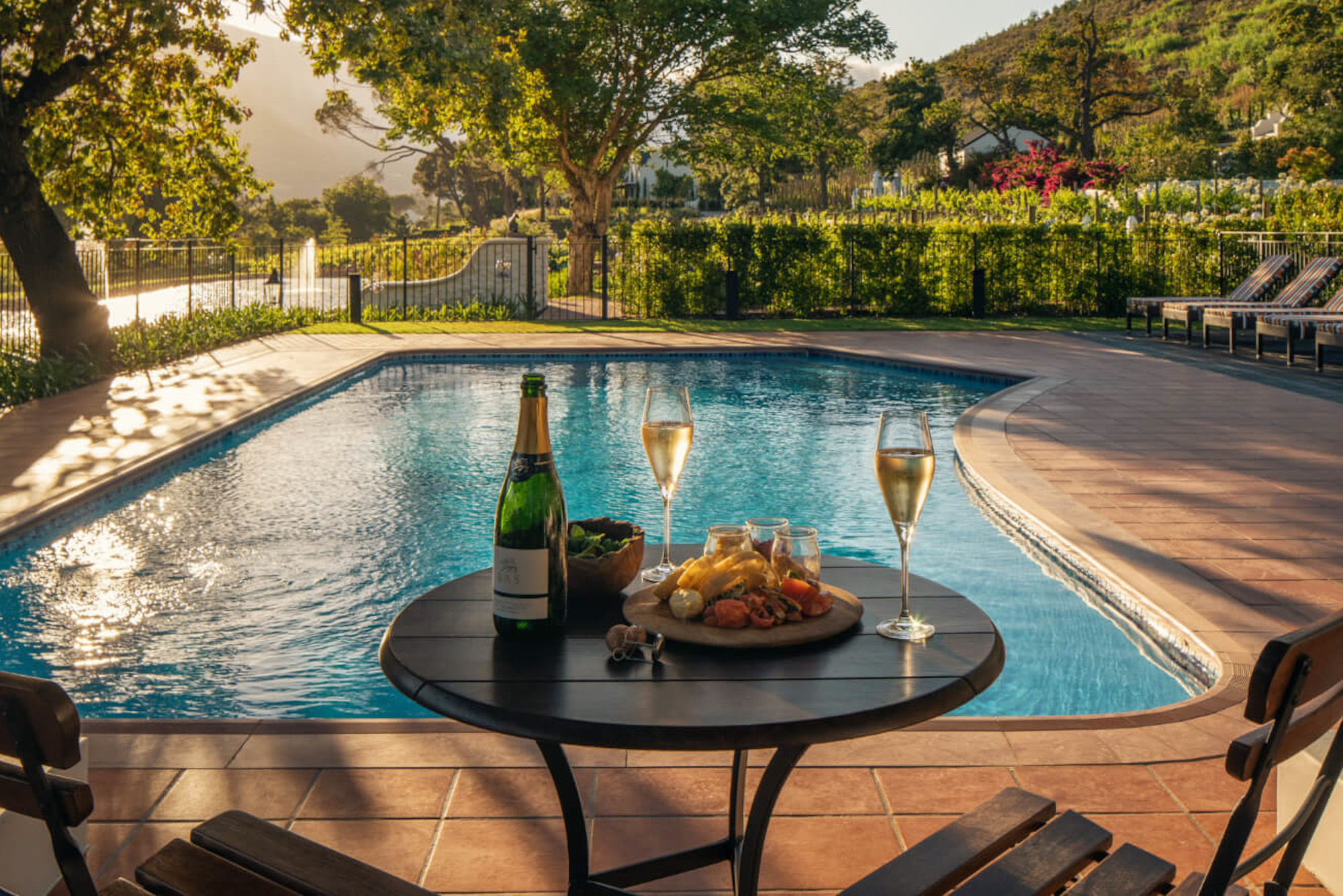 Leeu Estates Franschhoek Western Cape South Africa hotel review