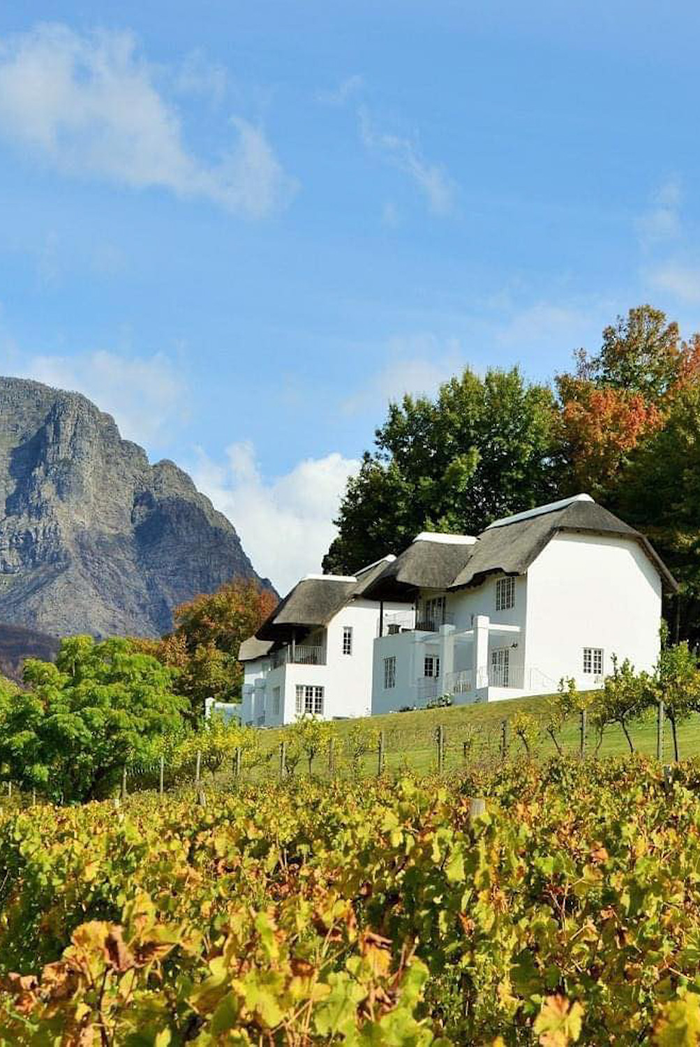 Camelot Spa Franschhoek Cape Winelands Western Cape South Africa spa review