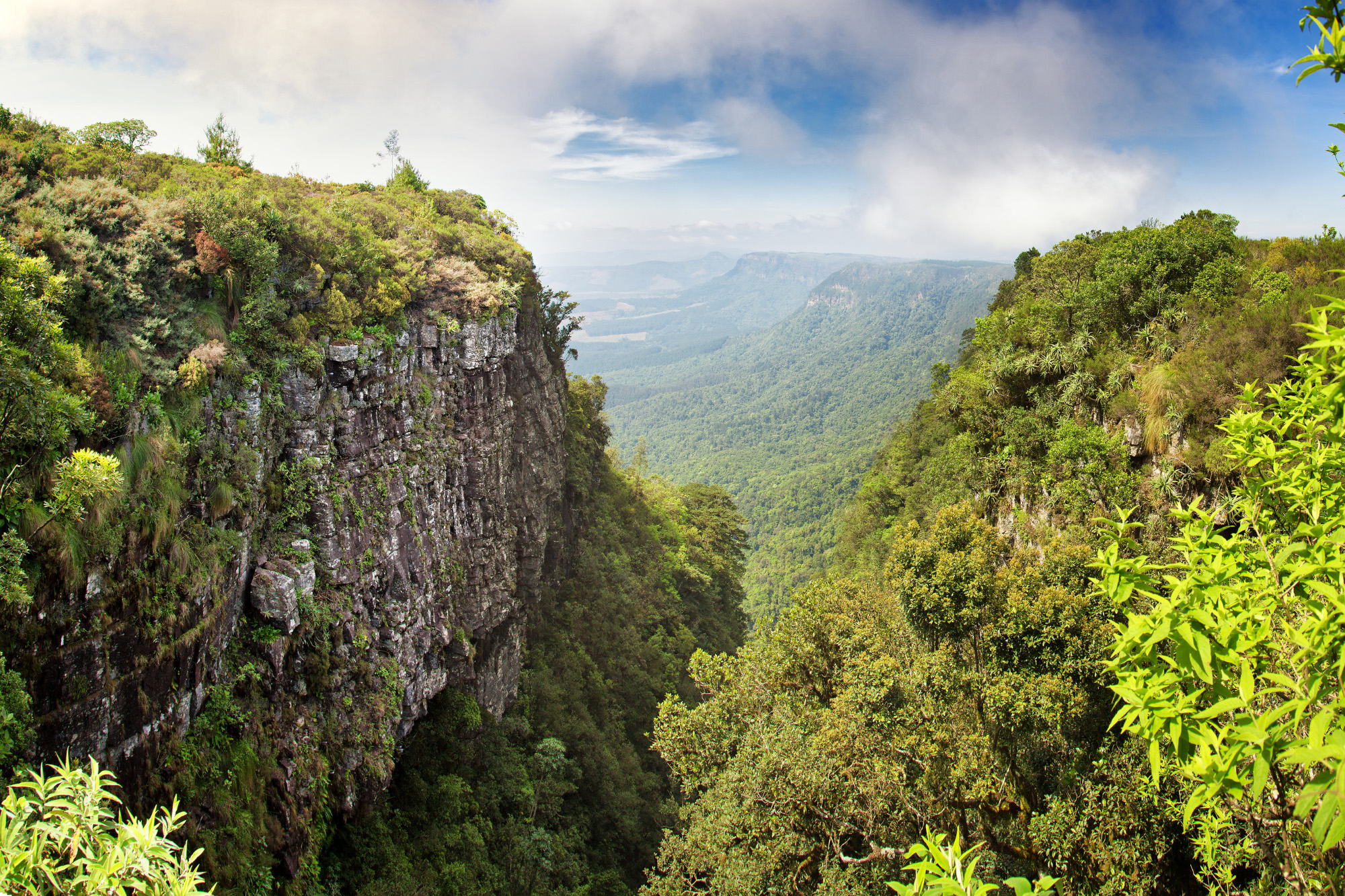 Drakensberg Mountain Range Mpumalanga South Africa