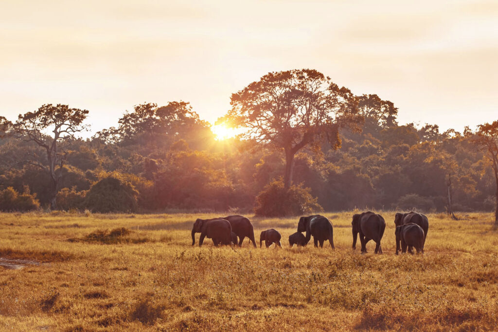 Kruger National Park South Africa travel guide