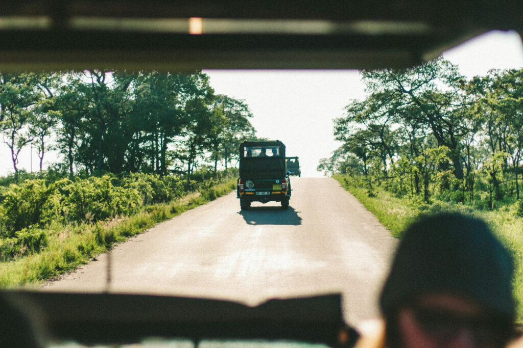 Kruger National Park South Africa