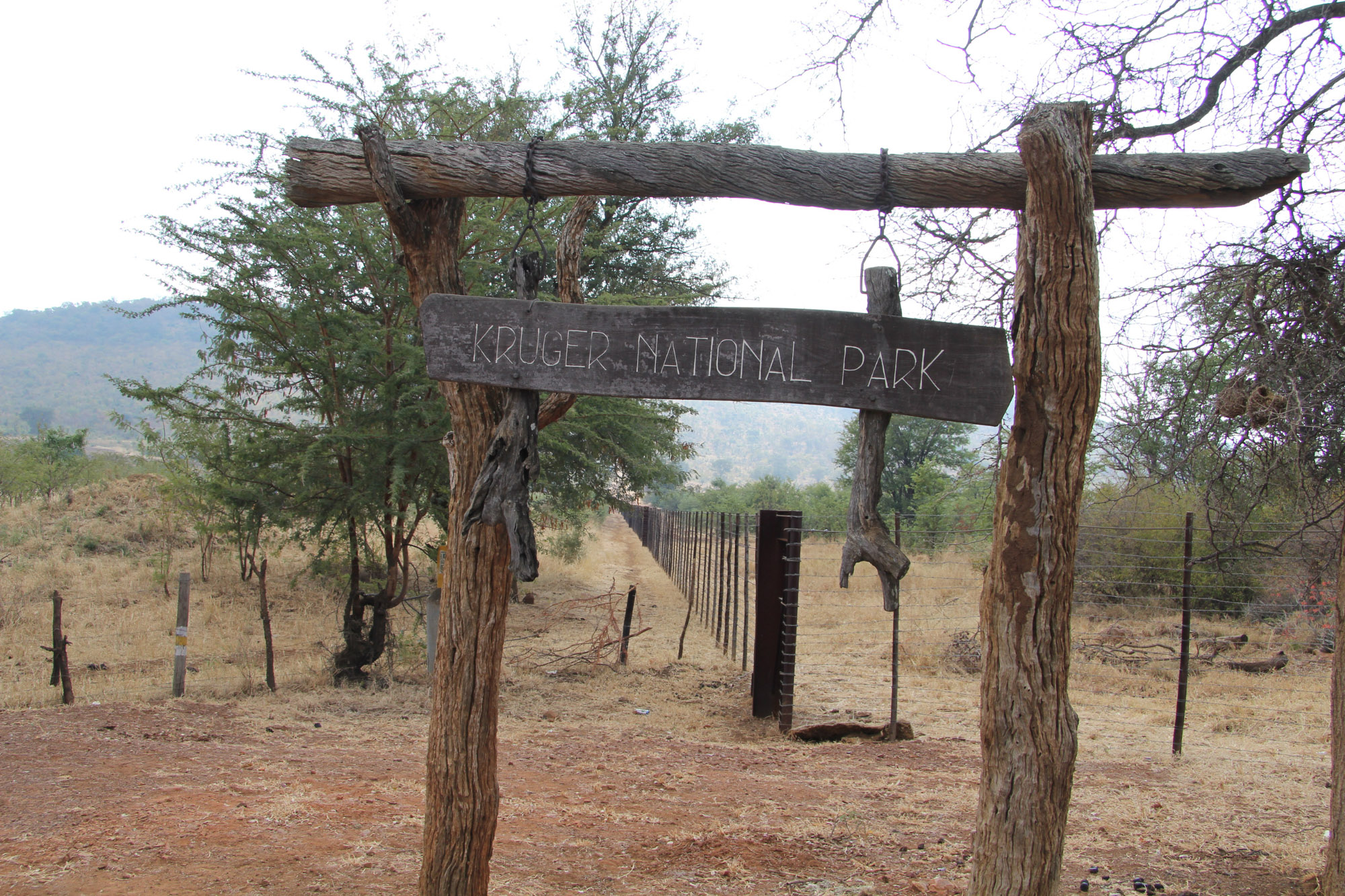 Kruger National Park South Africa