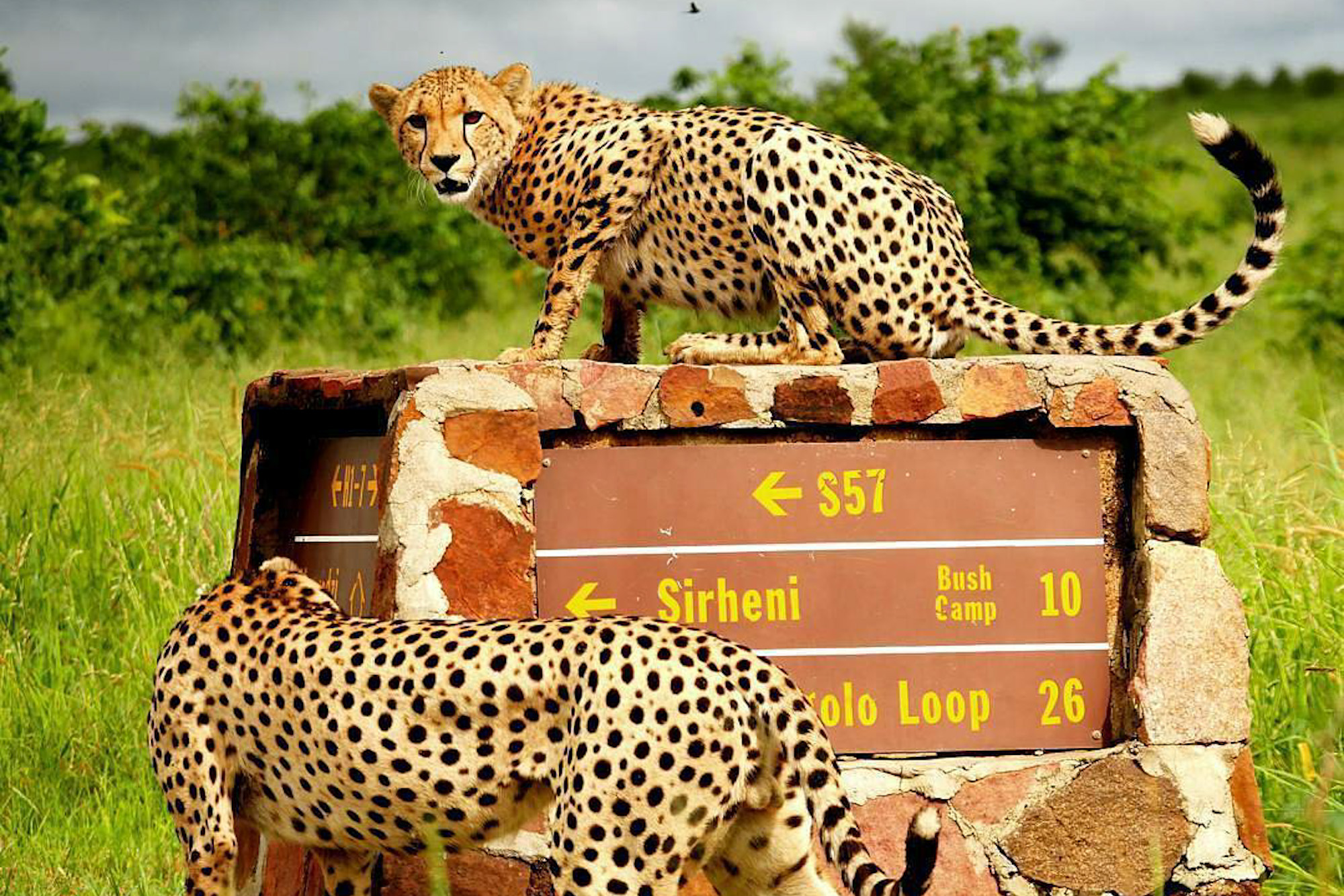 Kruger National Park South Africa