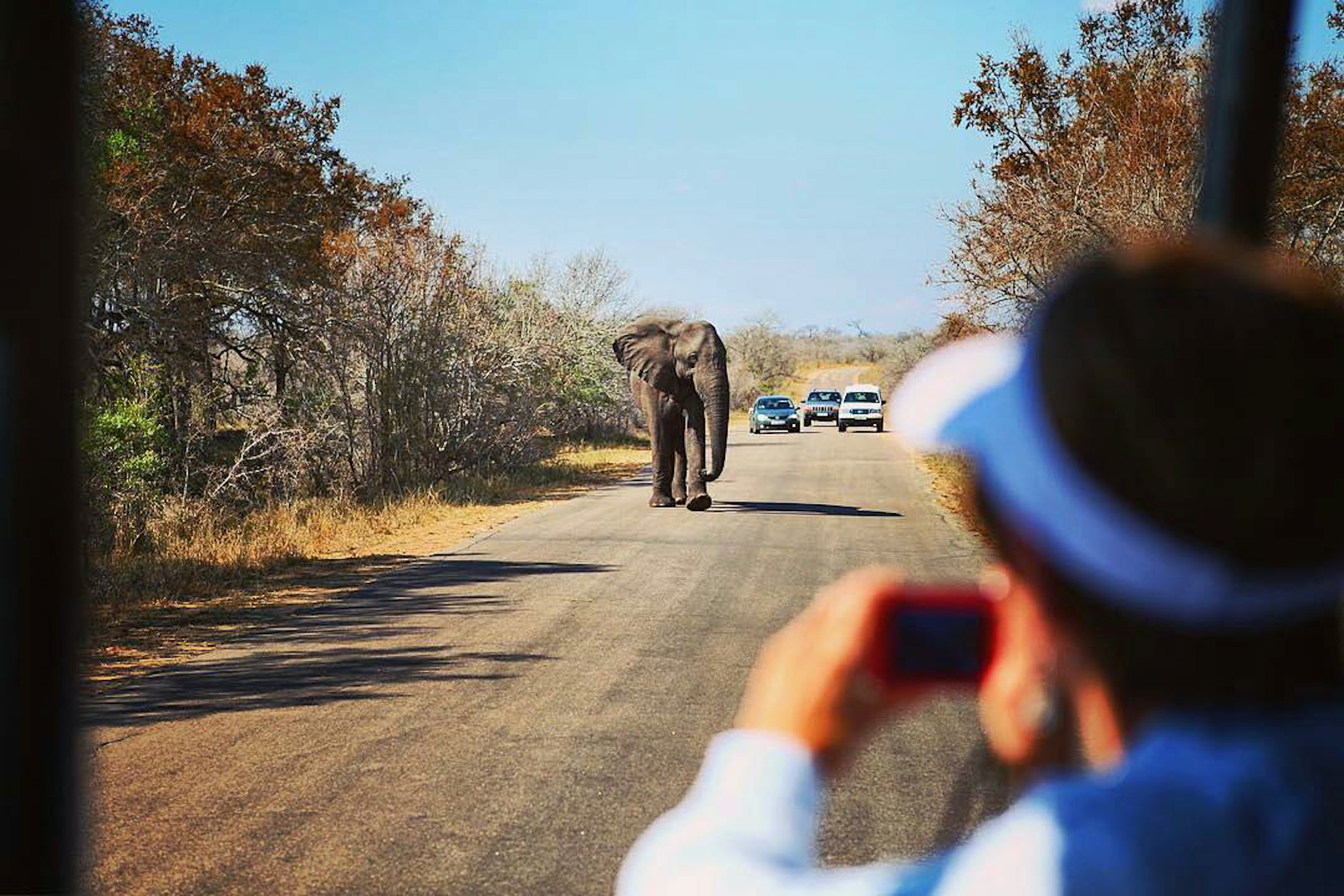 Kruger National Park South Africa