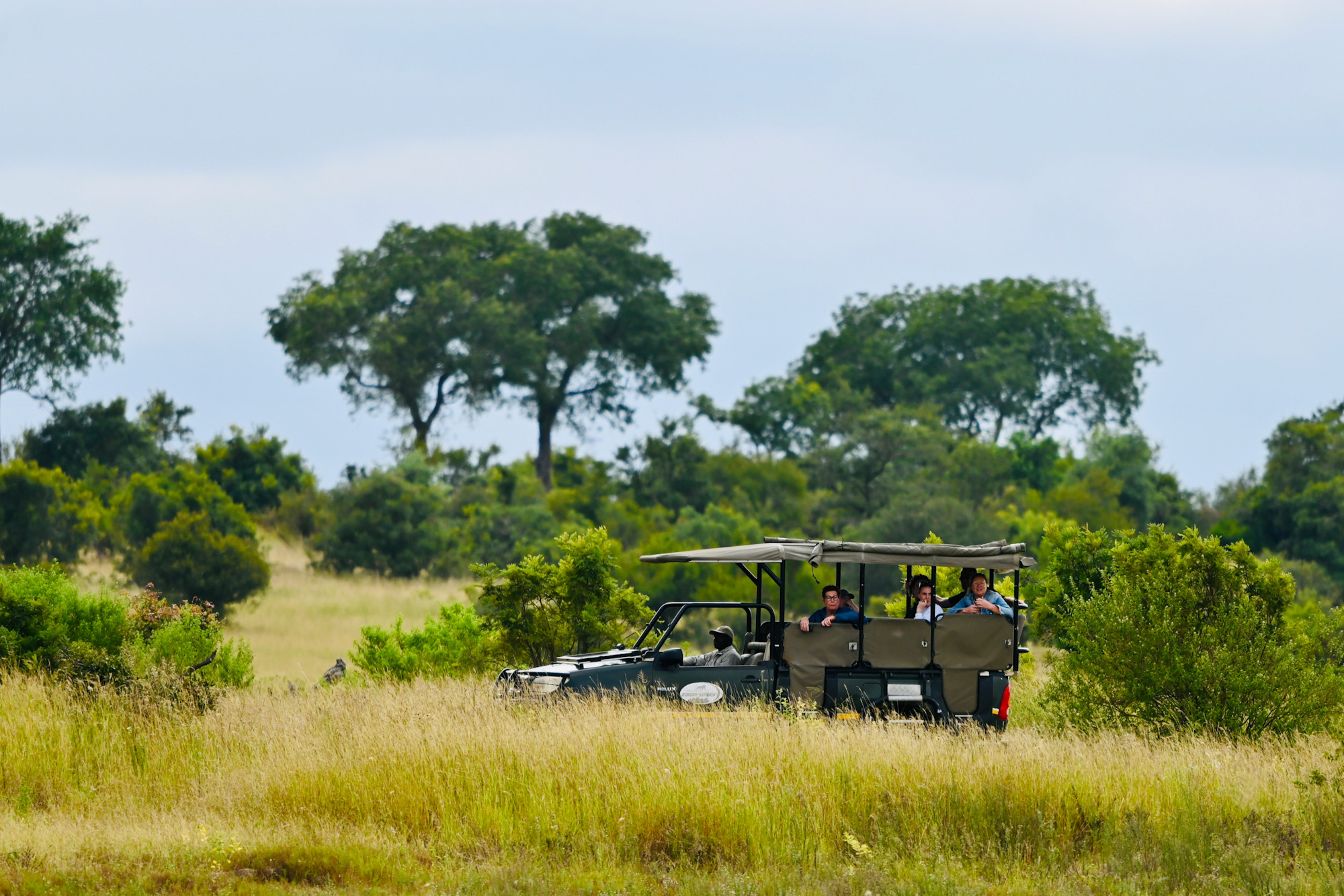 Kruger National Park South Africa