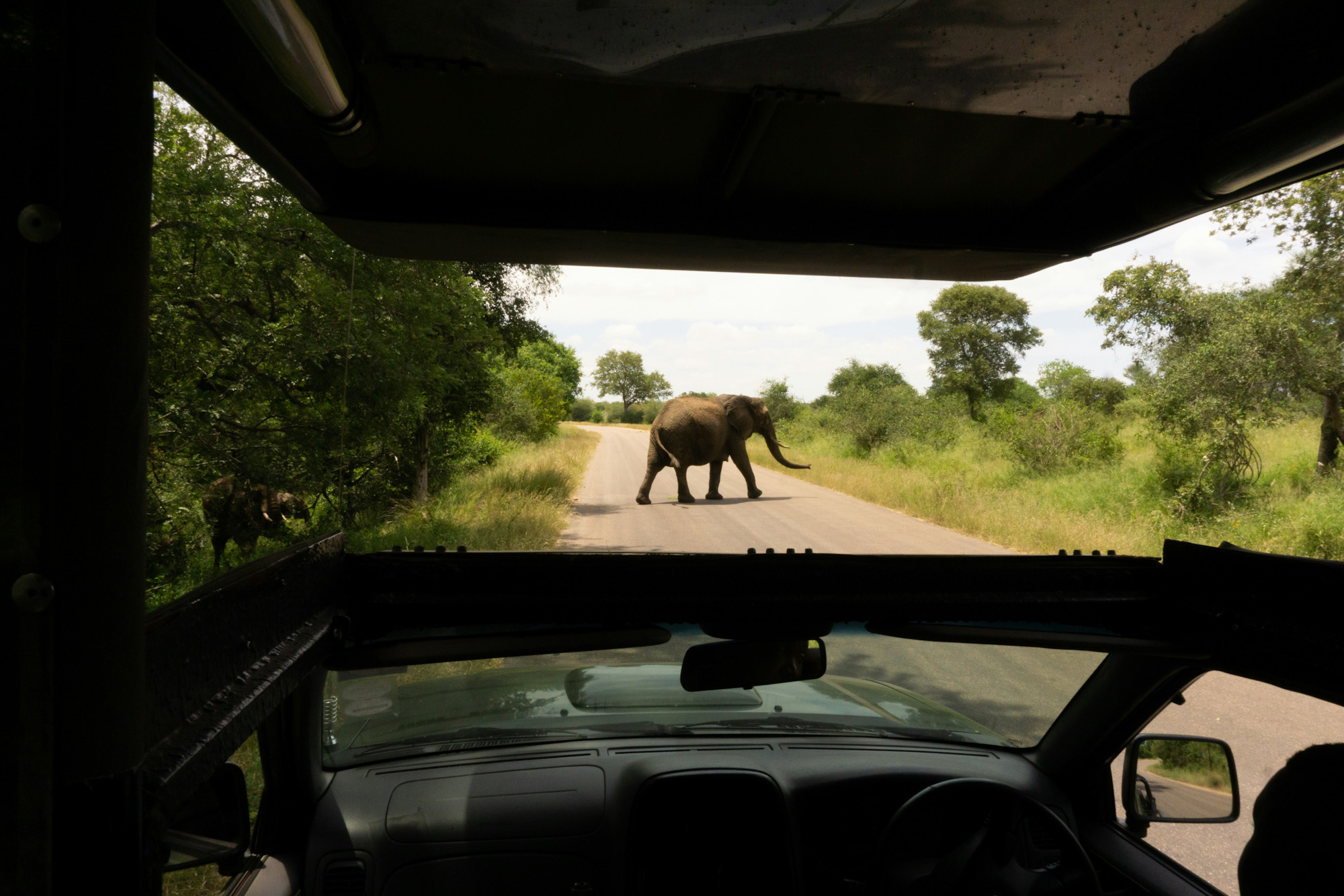 Kruger National Park South Africa