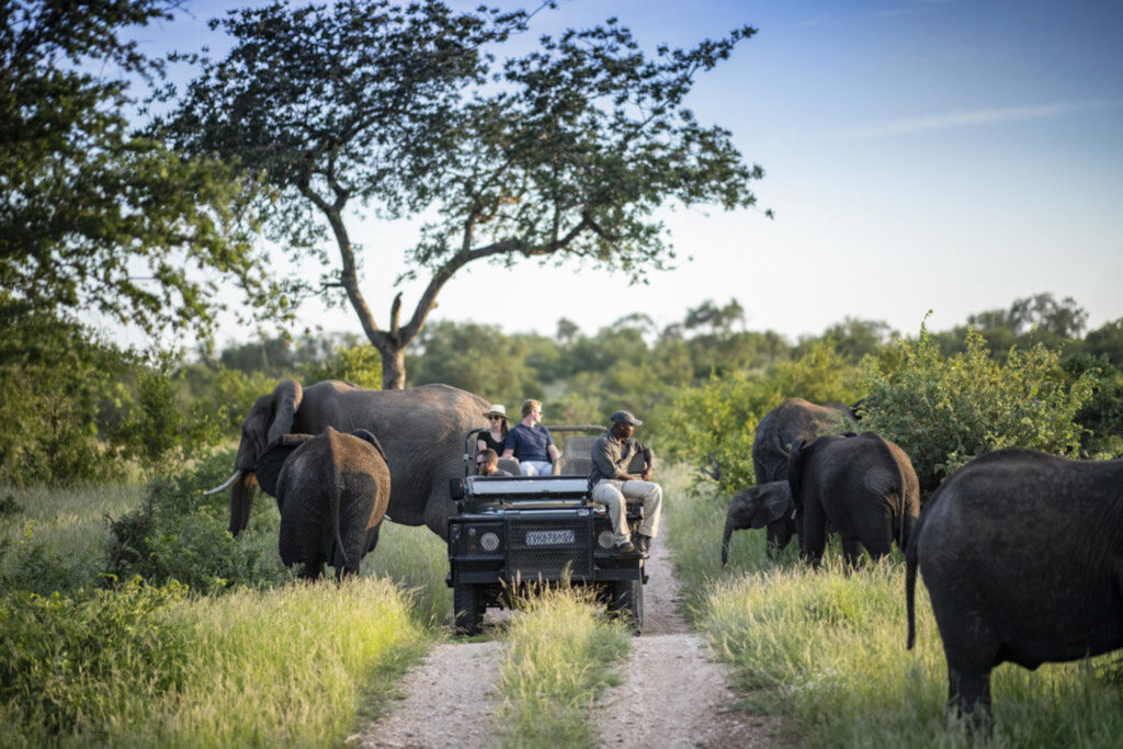 Kruger National Park South Africa