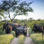 Kruger National Park South Africa