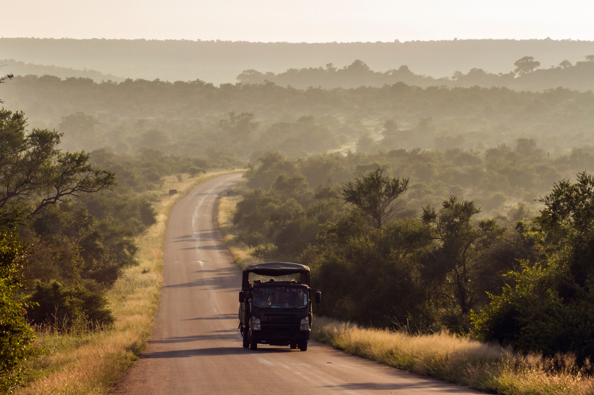 Kruger National Park South Africa