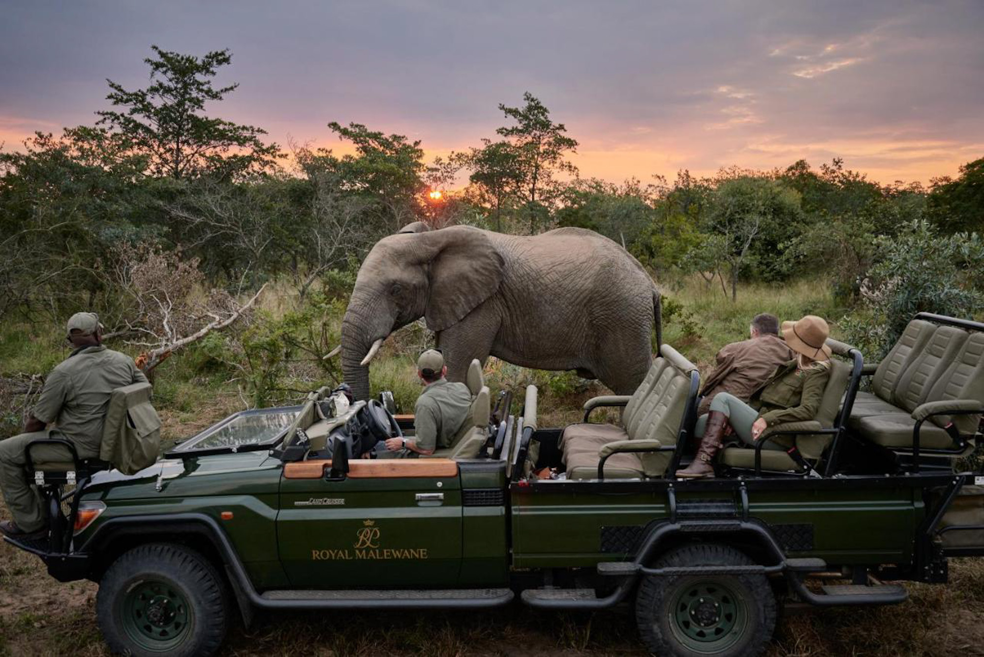 Kruger National Park South Africa