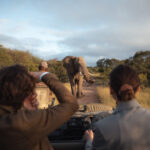 Kruger National Park South Africa travel guide