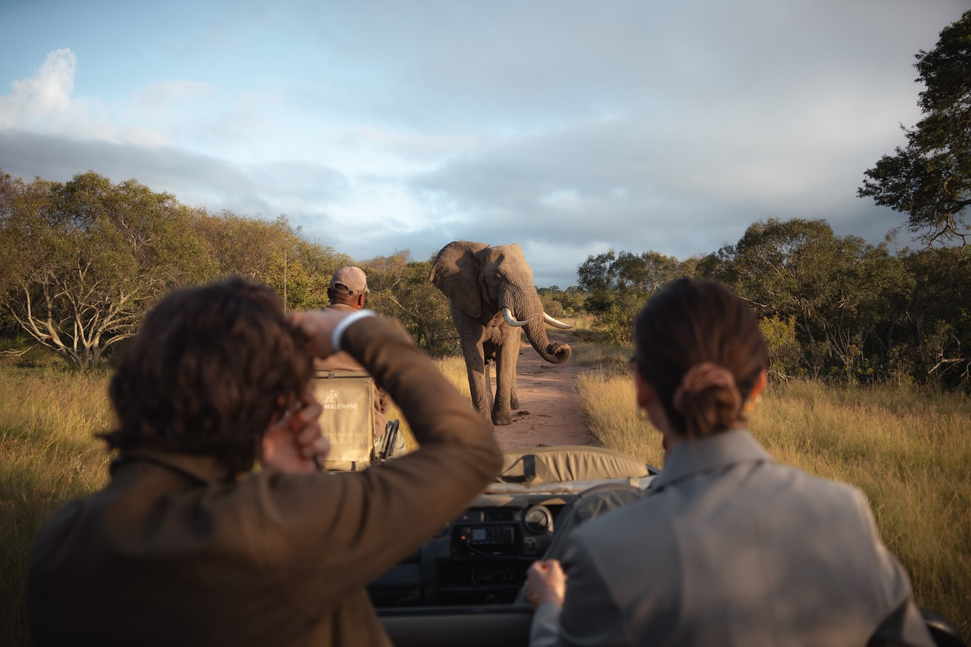 Kruger National Park South Africa