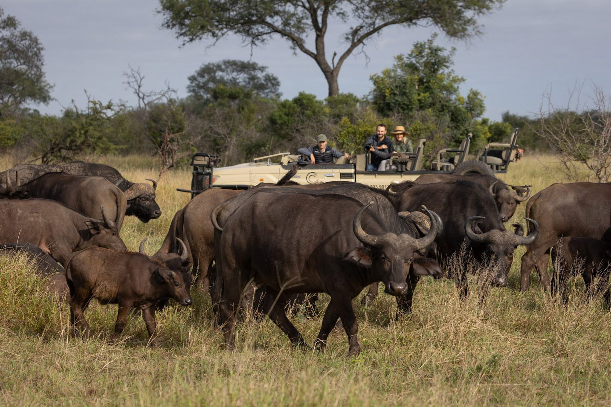 Kruger National Park South Africa