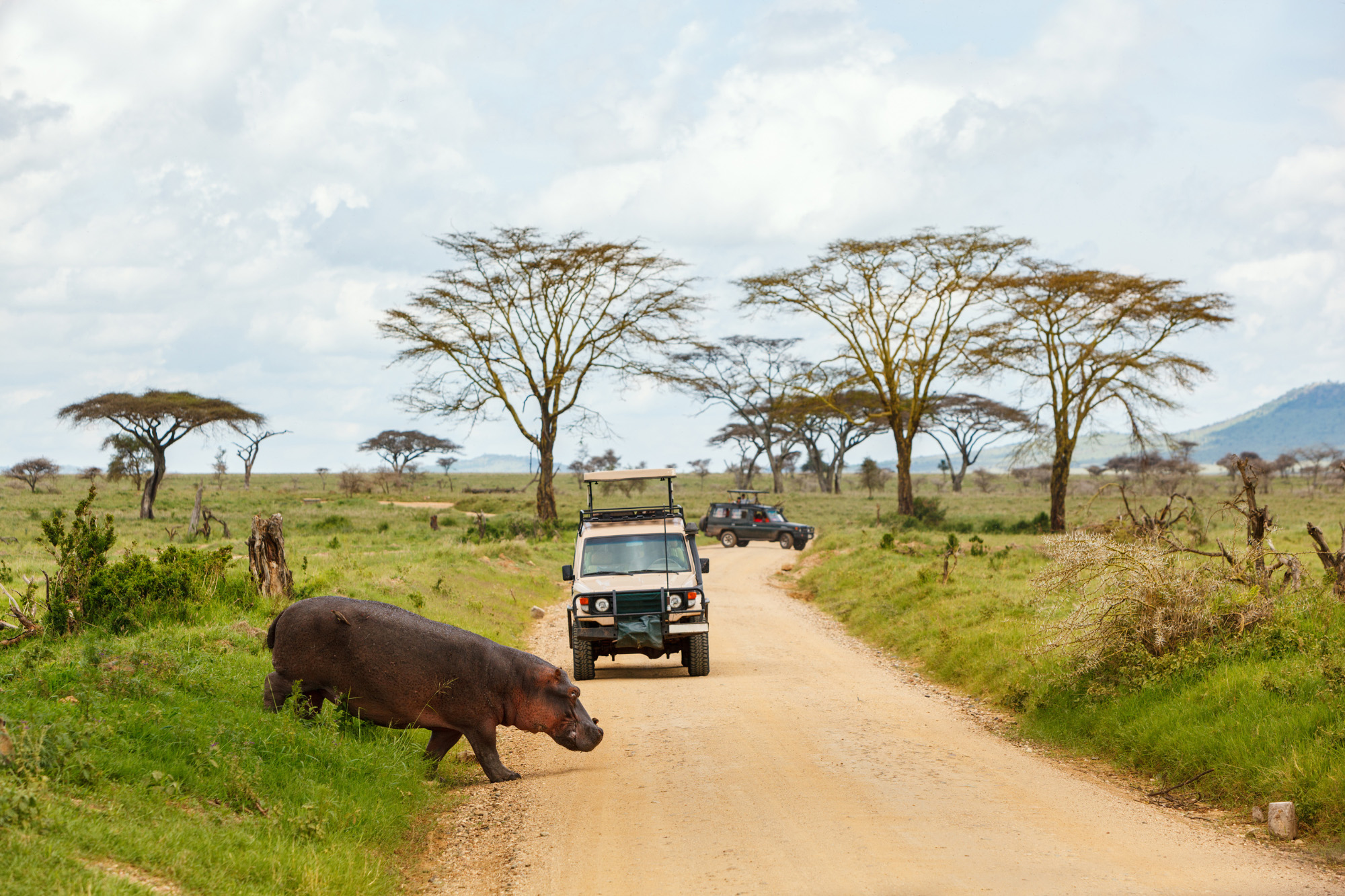 Kruger National Park South Africa