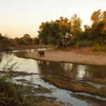 Kruger National Park South Africa