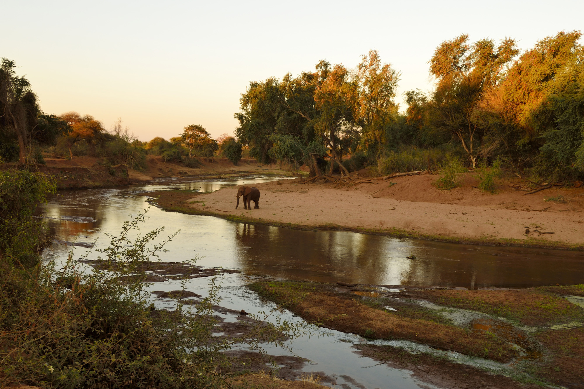 Kruger National Park South Africa