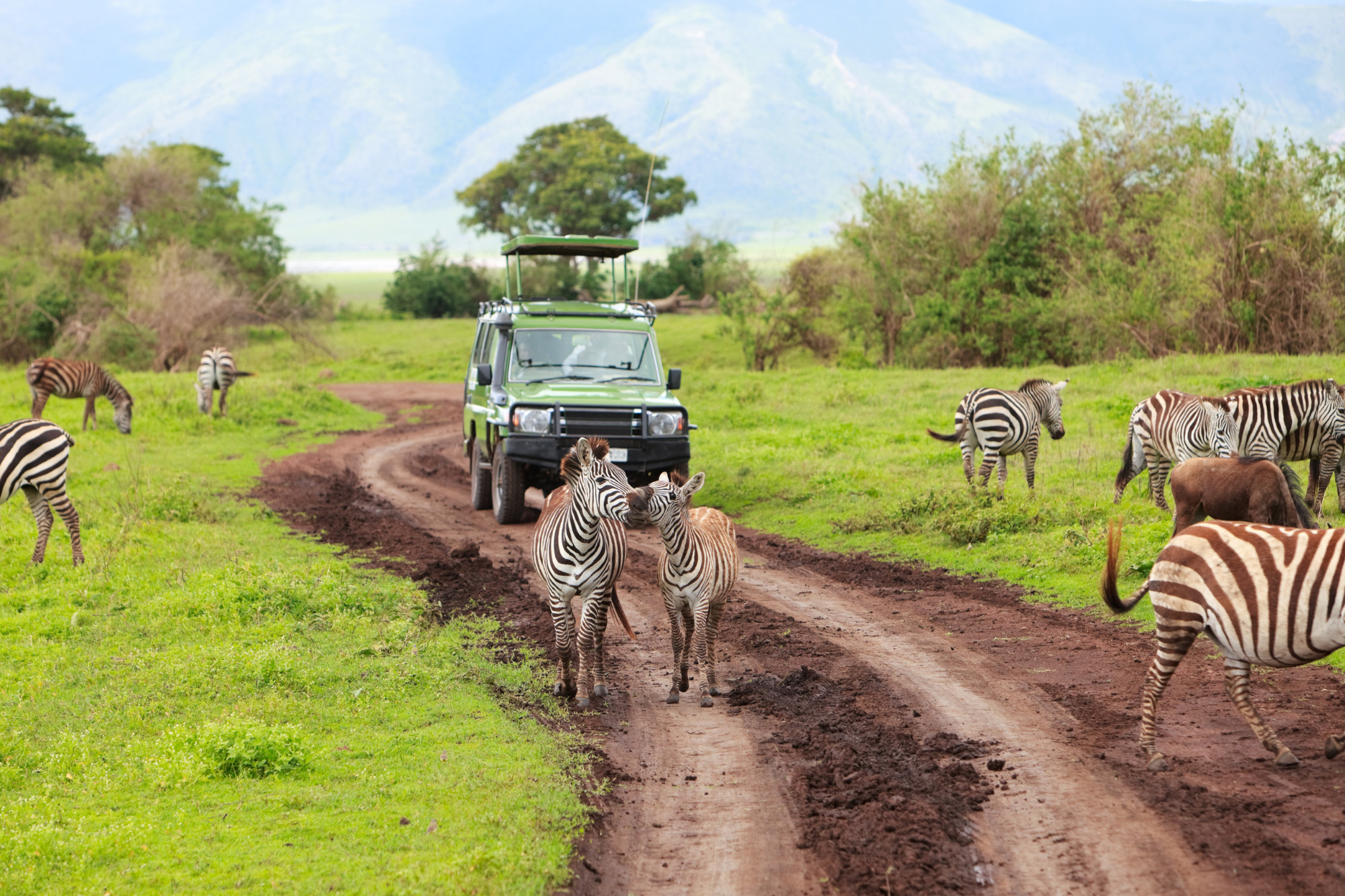 Kruger National Park South Africa