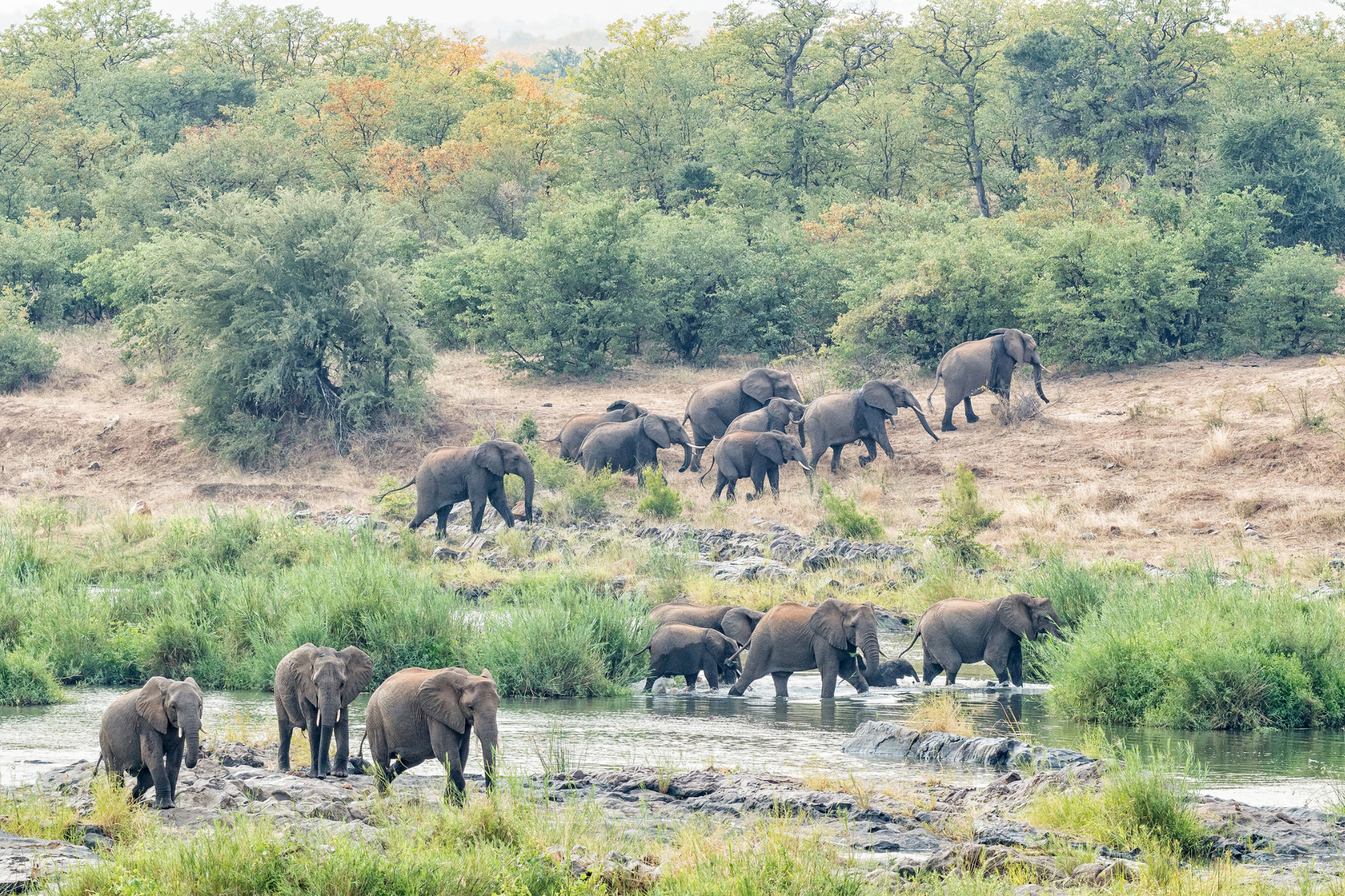 Kruger National Park South Africa travel guide