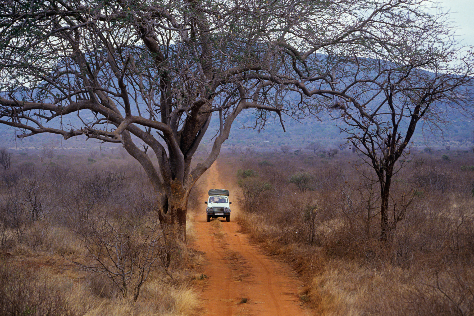 Kruger National Park South Africa travel guide