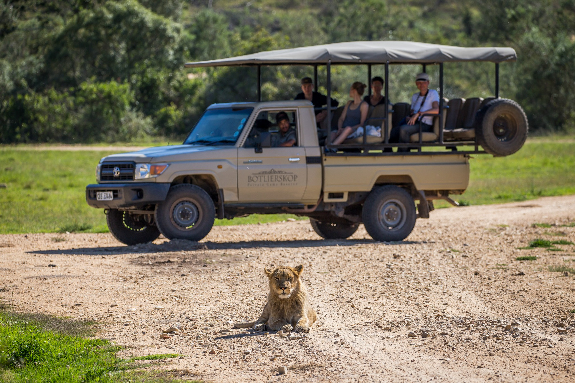 Botlierskop Private Game Reserve Mossel Bay Western Cape South Africa safari review