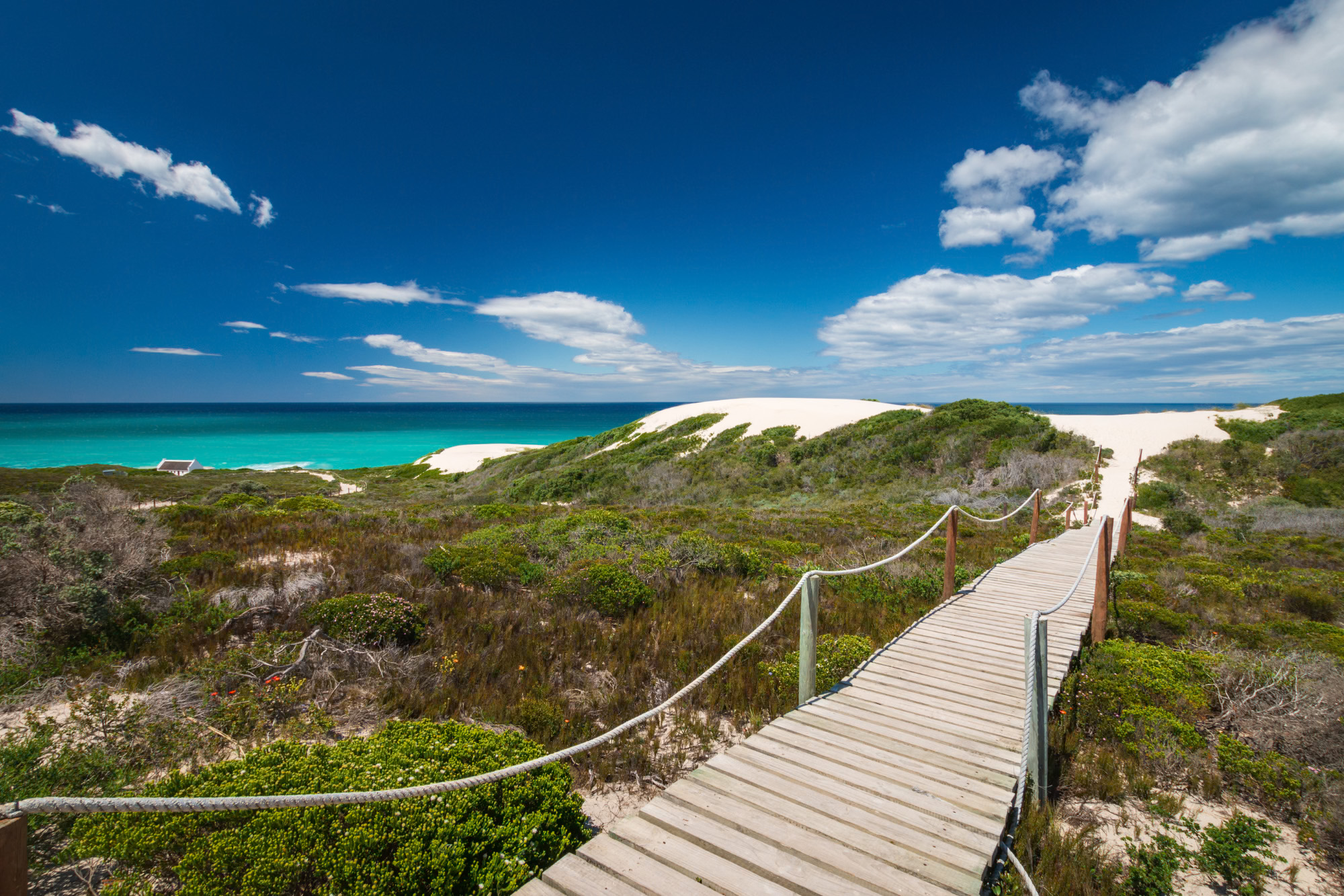 De Hoop Nature Reserve Witsand Western Cape South Africa