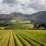 Hermanus Garden Route Western Cape South Africa wine farm review