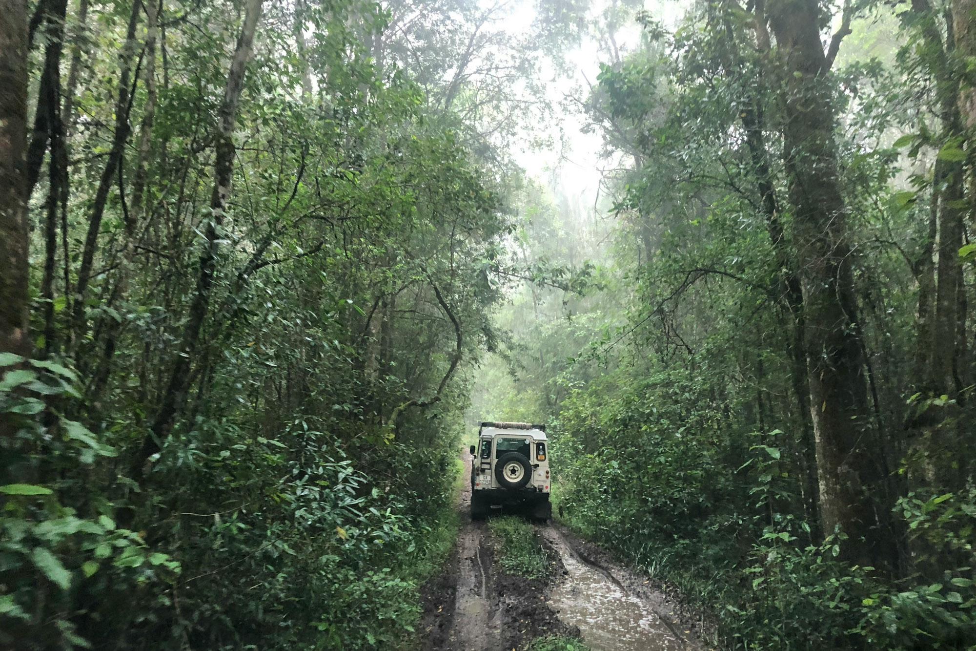 Knysna Garden Route Western Cape South Africa