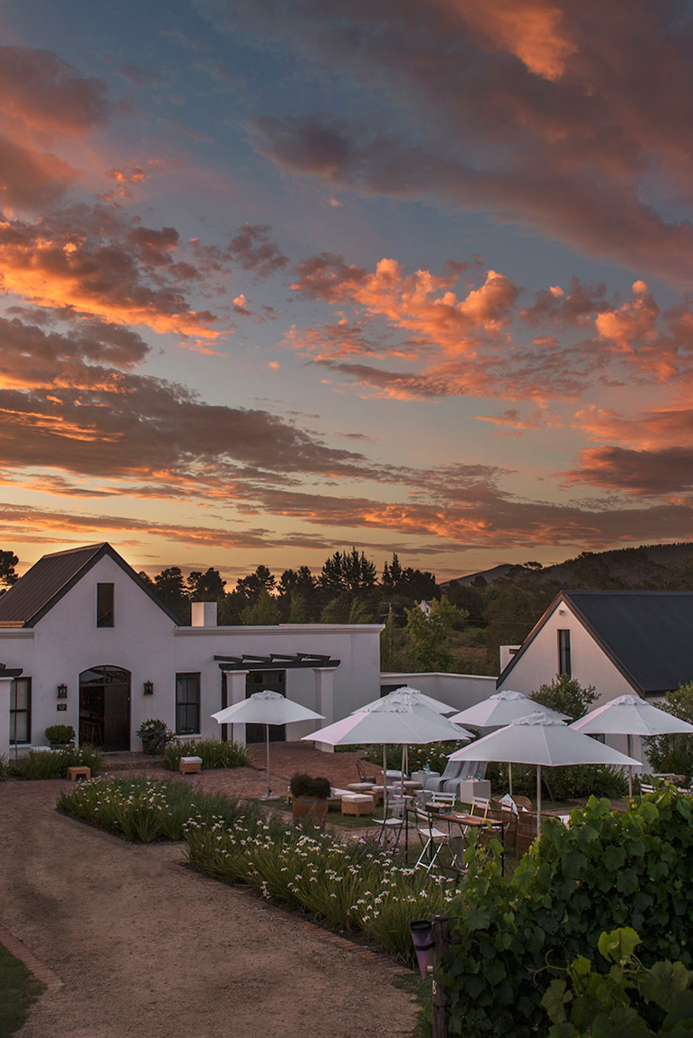 Newstead Lund Family Vineyards Plettenberg Bay Garden Route Western Cape South Africa wine farm review