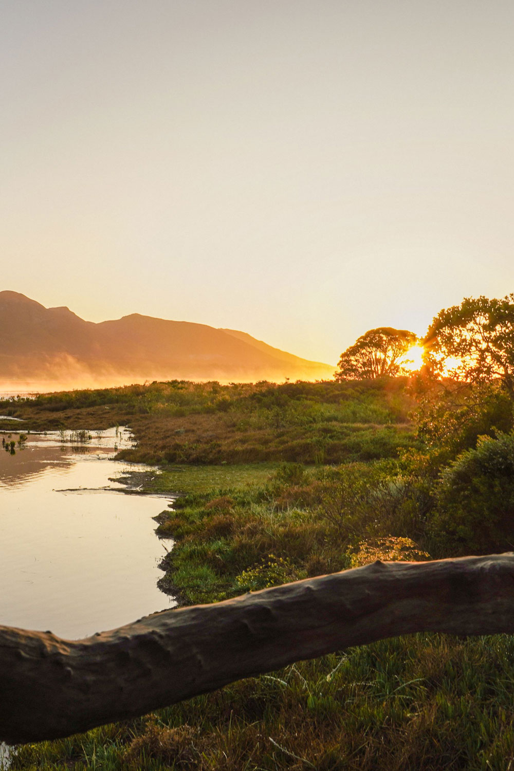 Mosaic Lagoon Lodge Stanford Western Cape South Africa hotel review