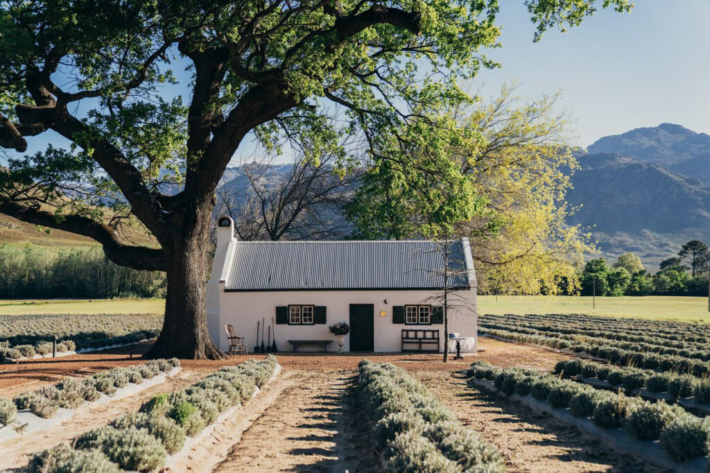 Franschhoek Western Cape South Africa