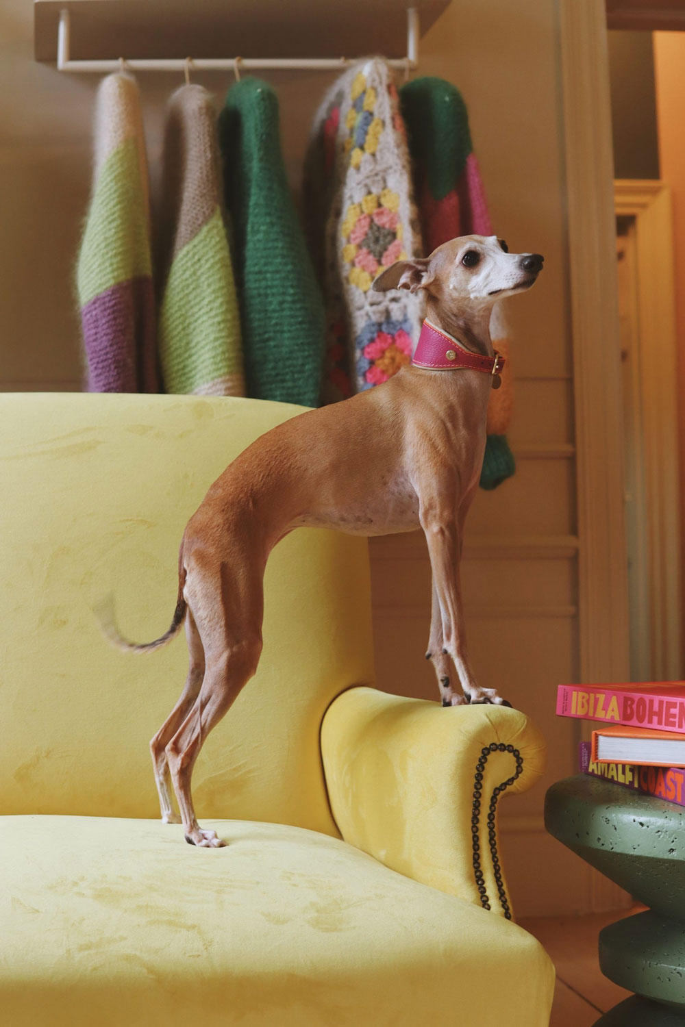 The House of Chommies Cape Town Western Cape shop review