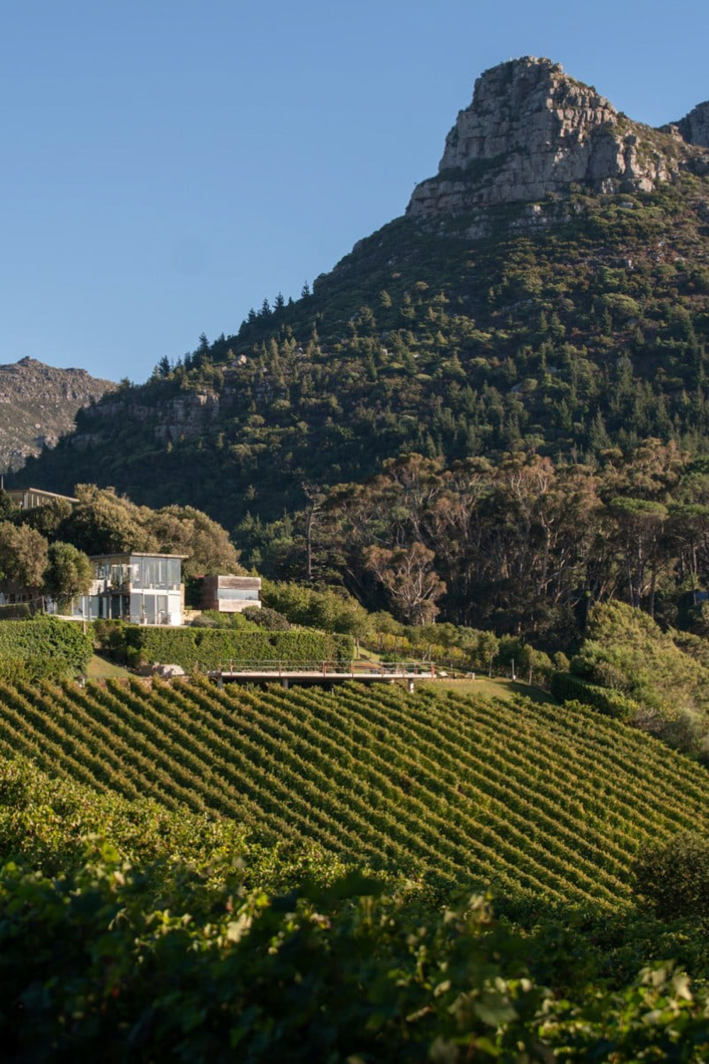 Beau Constantia Cape Town Western Cape South Africa art winery review