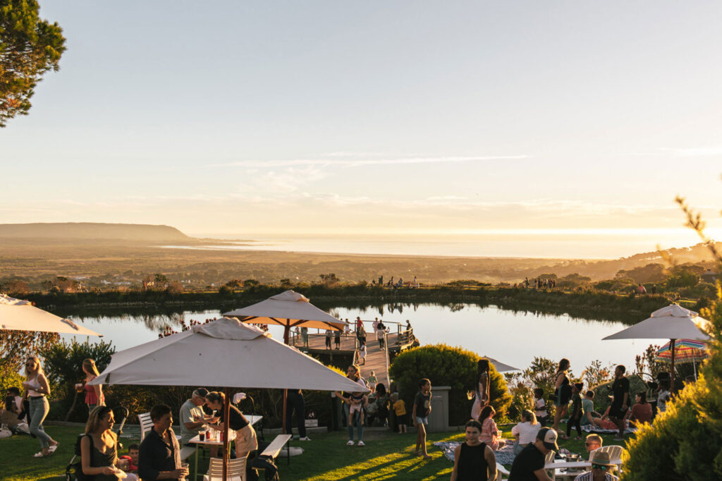 Cape Point Vineyards Cape Town Western Cape South Africa winery review