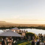 Cape Point Vineyards Cape Town Western Cape South Africa winery review