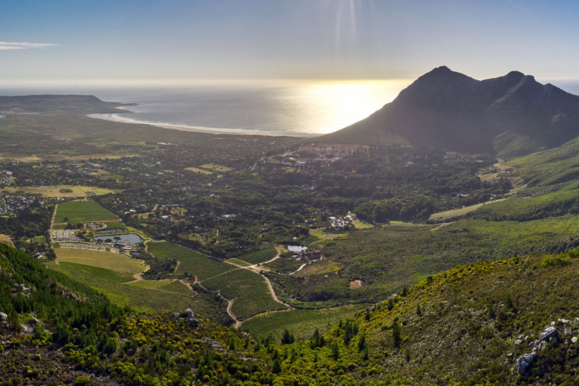 Cape Point Vineyards Cape Town Western Cape South Africa winery review