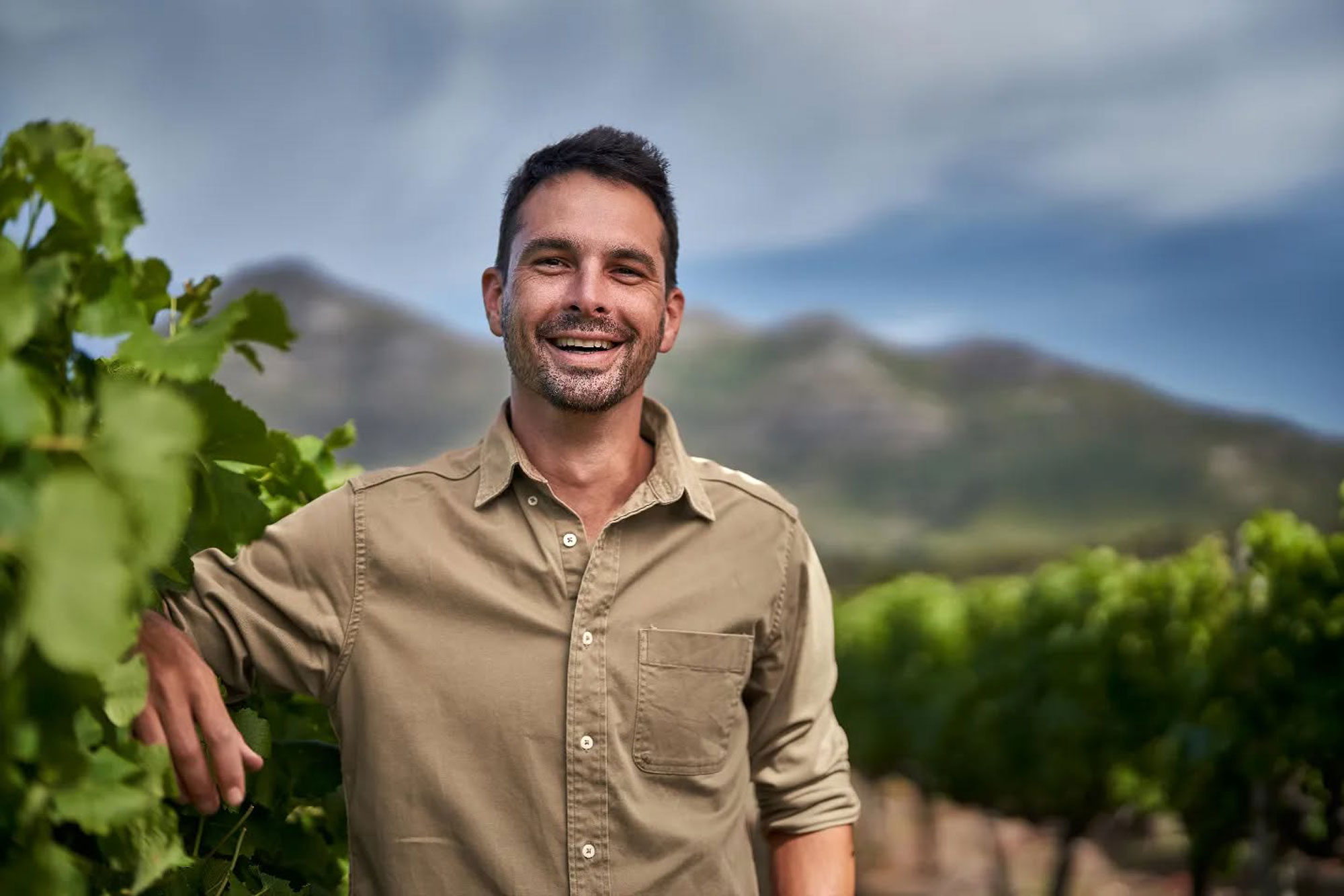 Cape Point Vineyards Cape Town Western Cape South Africa winery review