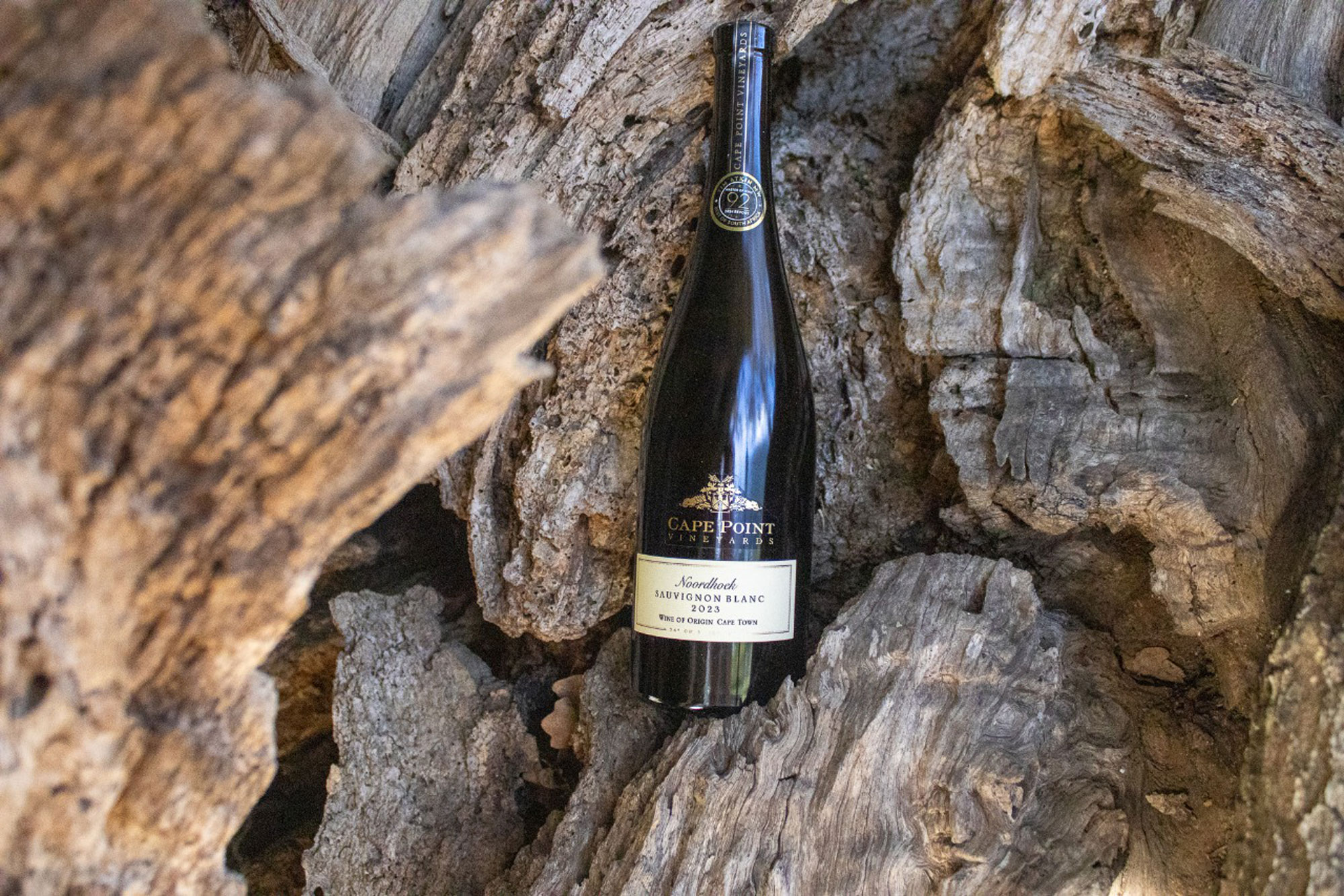 Cape Point Vineyards Cape Town Western Cape South Africa winery review