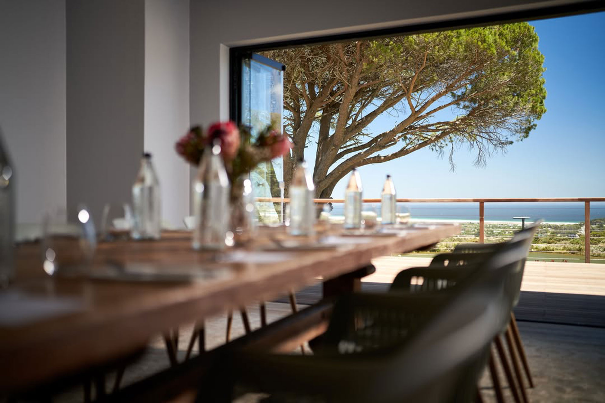 Cape Point Vineyards Cape Town Western Cape South Africa winery review