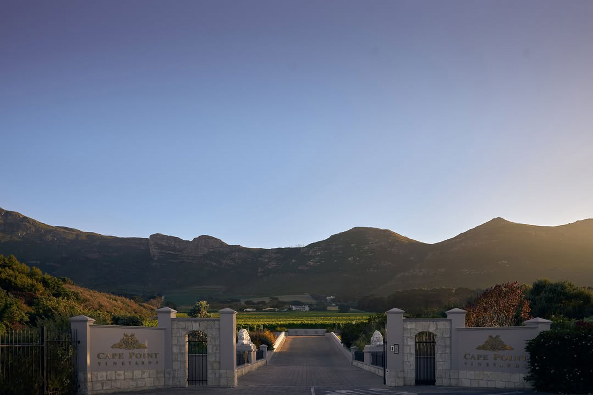 Cape Point Vineyards Cape Town Western Cape South Africa winery review