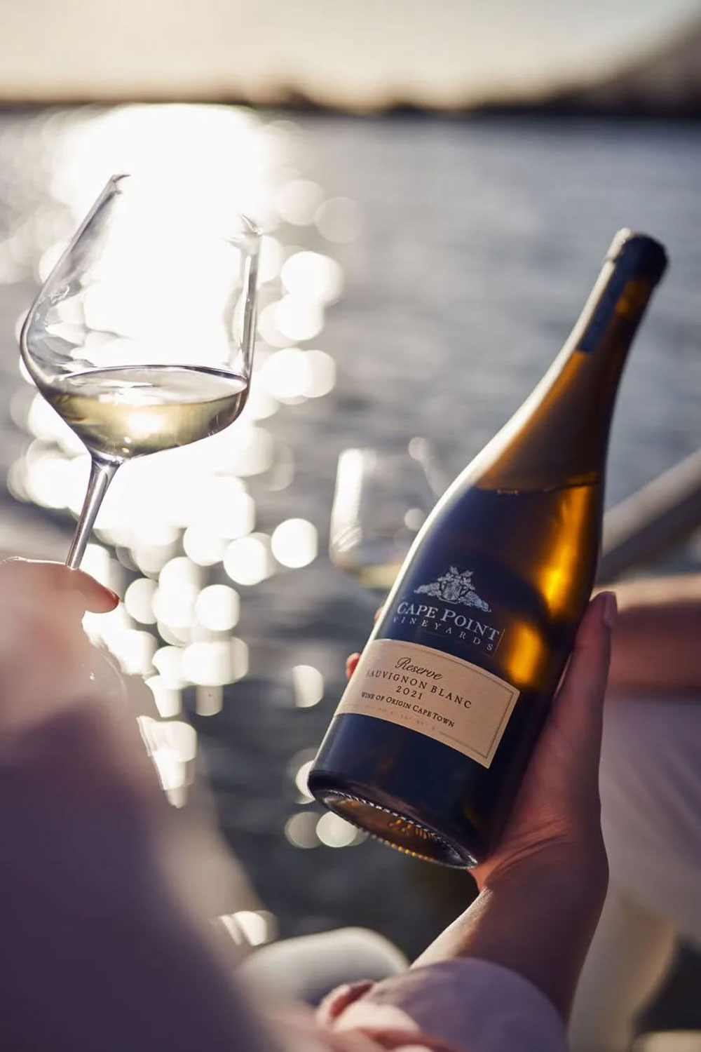 Cape Point Vineyards Cape Town Western Cape South Africa winery review