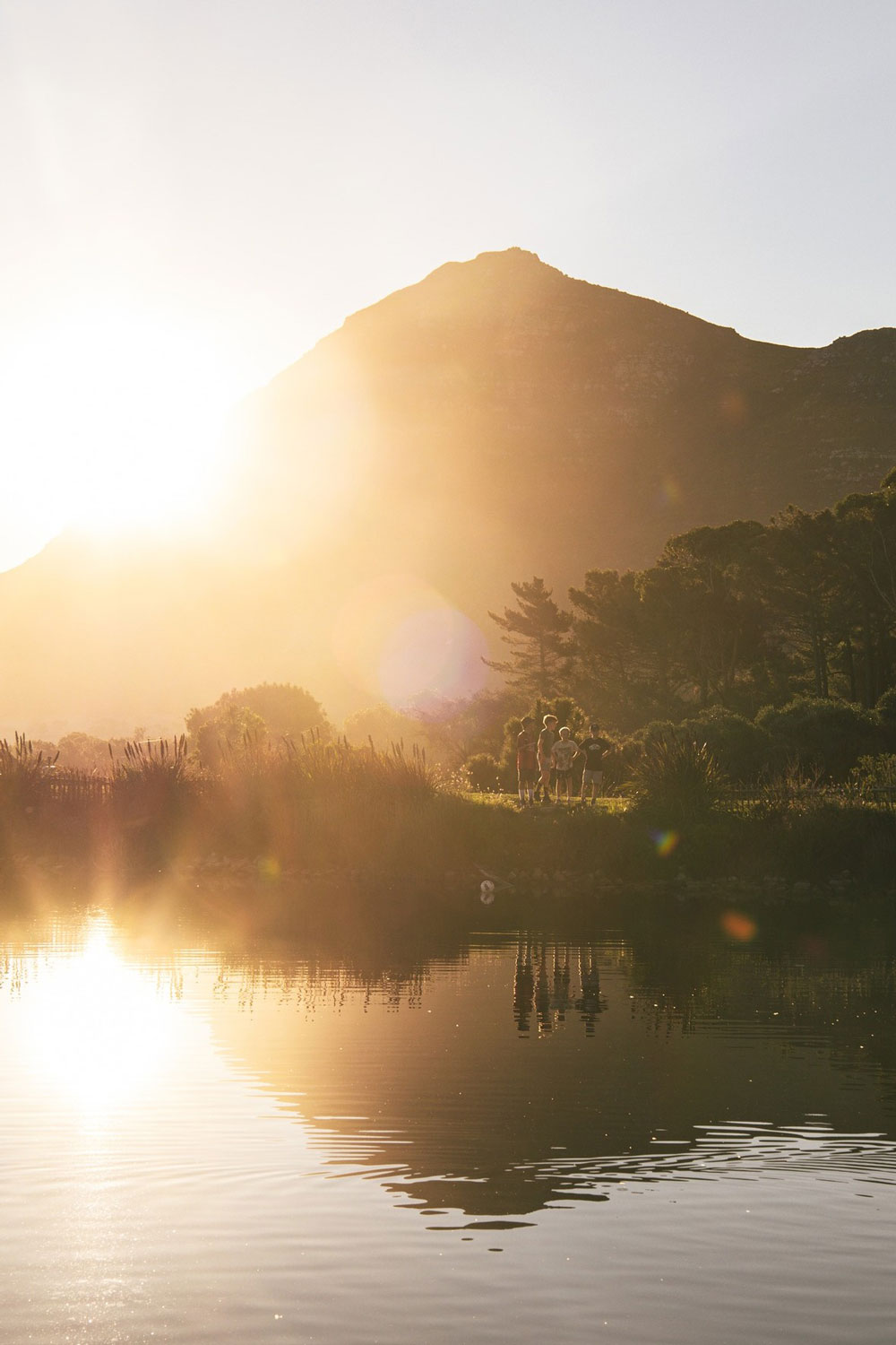 Cape Point Vineyards Cape Town Western Cape South Africa winery review