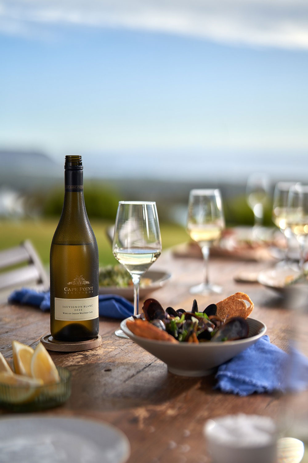 Cape Point Vineyards Cape Town Western Cape South Africa winery review