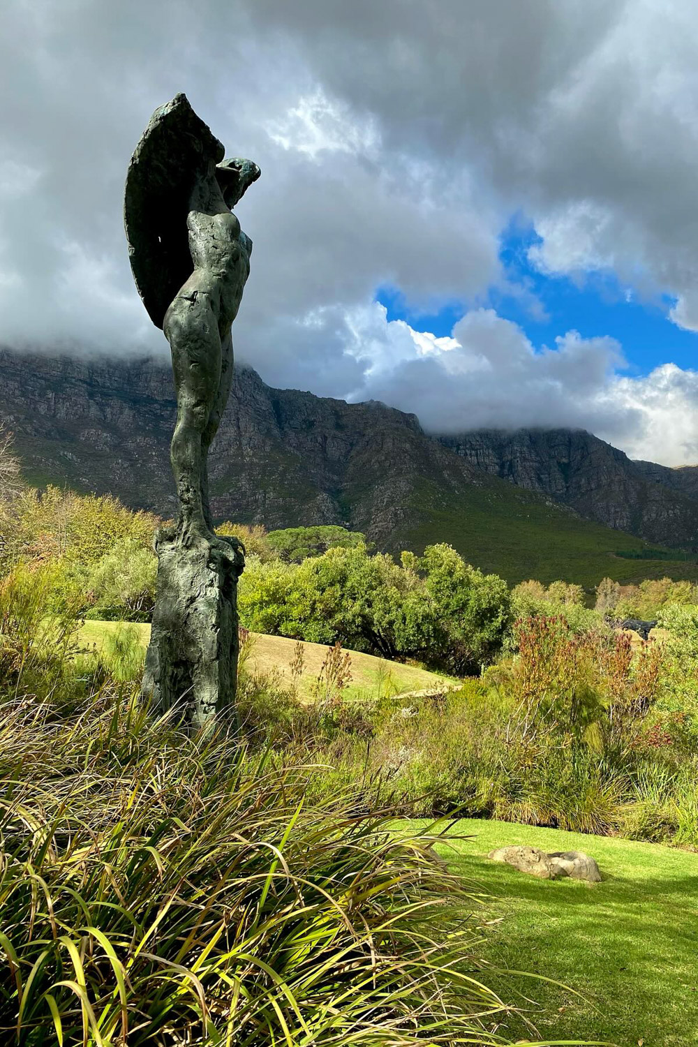 Dylan Lewis Sculpture Garden Stellenbosch Western Cape South Africa