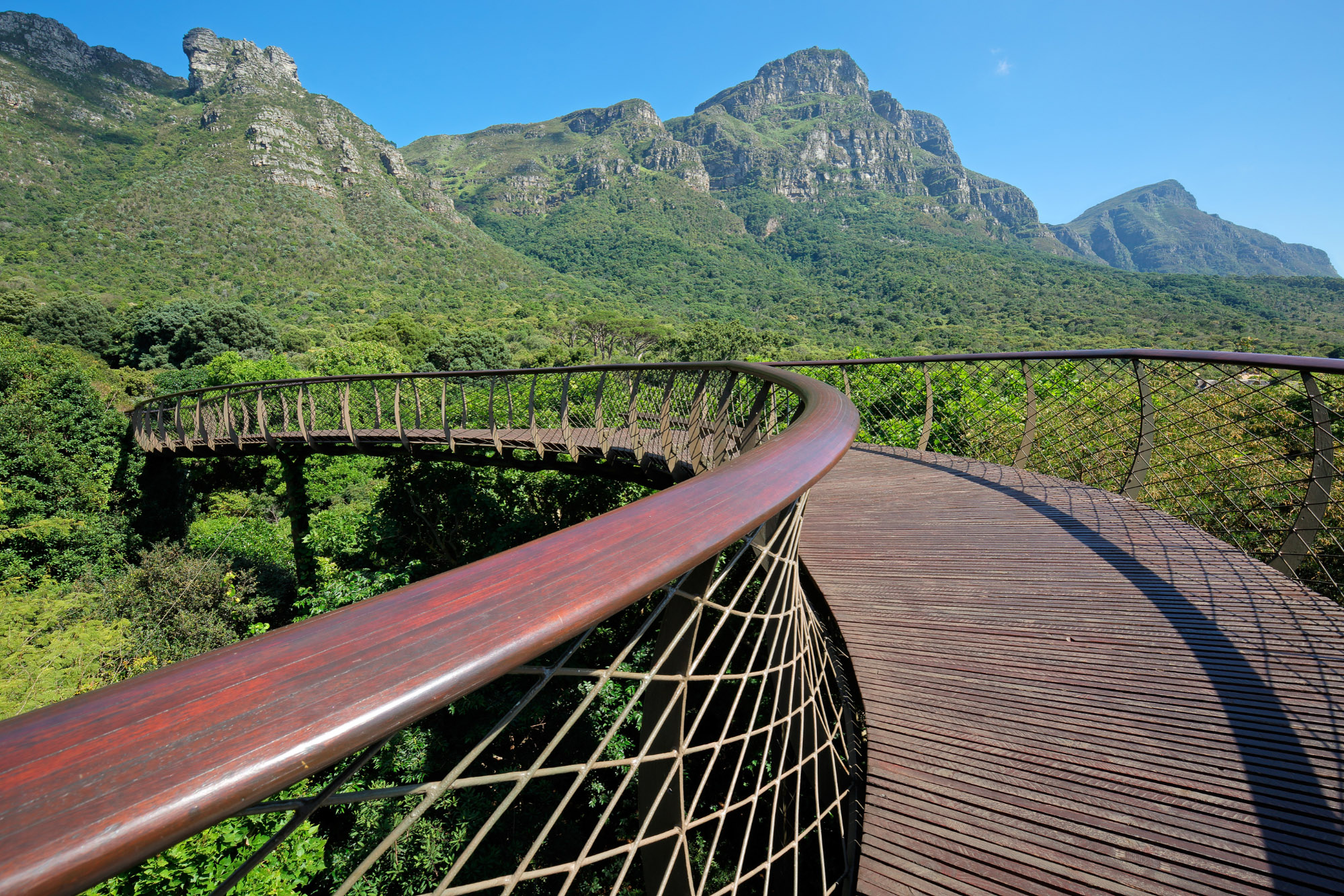 Kirstenbosch National Botanical Garden Cape Town Western Cape South Africa