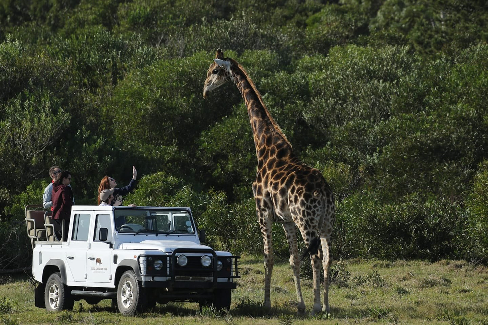 Kragga Kamma Game Park Port Elizabeth Eastern Cape South Africa game reserve review