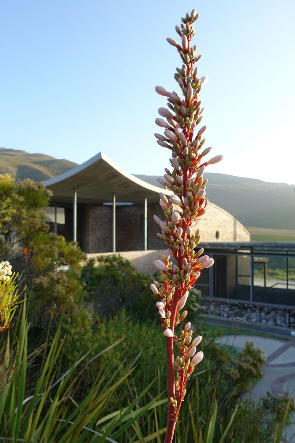 Spookfontein Wine Farm Hermanus Western Cape South Africa winery review